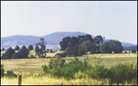 Looking North from Tarrengower Estate towards Mount Alexander